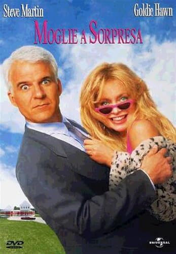 Housesitter (1992) [DVD]