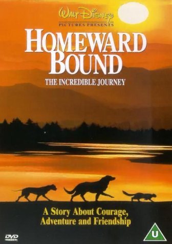 Homeward Bound (1923) [DVD]