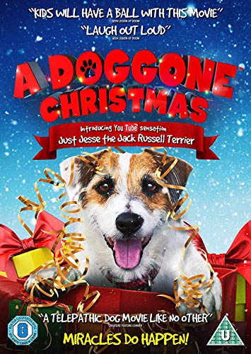 A Doggone Christmas (2016) [DVD]