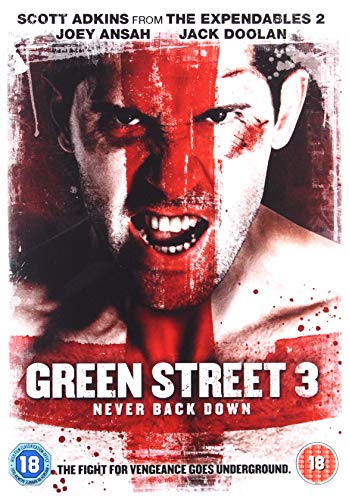 Green Street 3: Never Back Down (2013) [DVD]