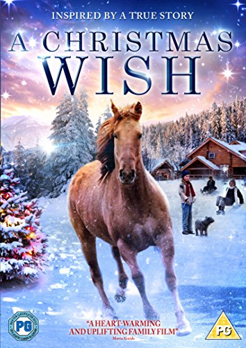 A Christmas Wish (2011) [DVD]
