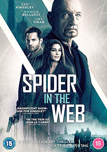 Spider in the Web (2019) [DVD]