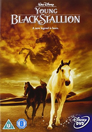 The Young Black Stallion (2003) [DVD]