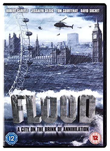 Flood [DVD]