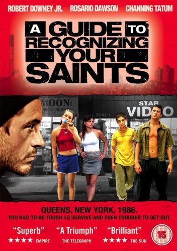 A Guide to Recognizing Your Saints (2006) [DVD]