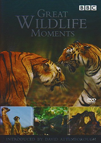 Great Wildlife Moments Introduced by David Attenborough [DVD]