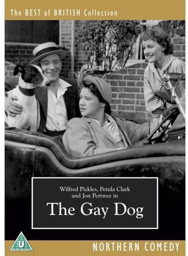 The Gay Dog (1954) [DVD]