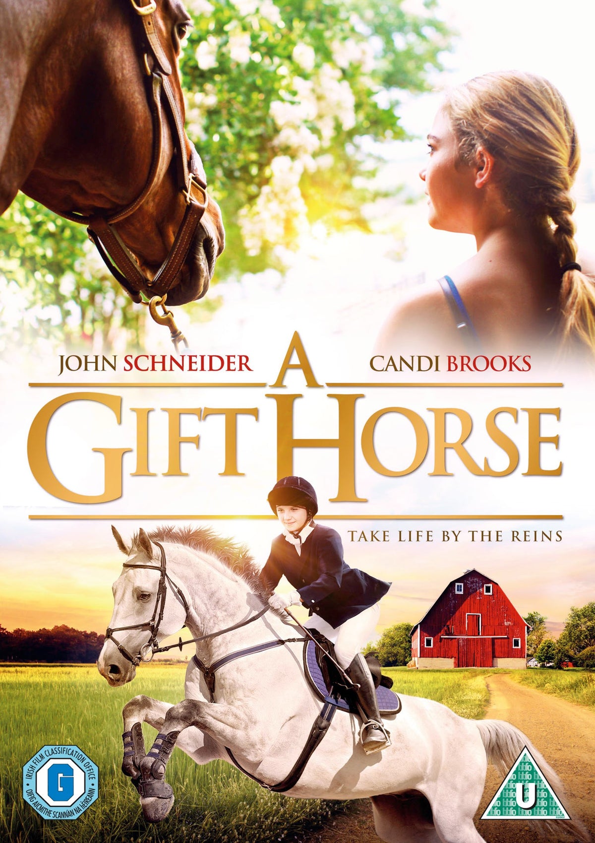A Gift Horse (2015) [DVD]